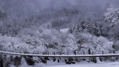 雪の山里