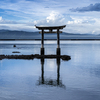 海に映る鳥居と夏雲