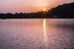 夕日が映える池