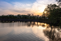 夕暮れ散歩道