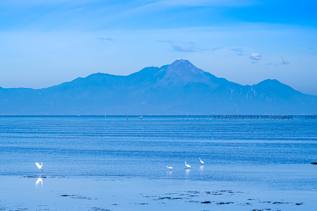 朝の有明海