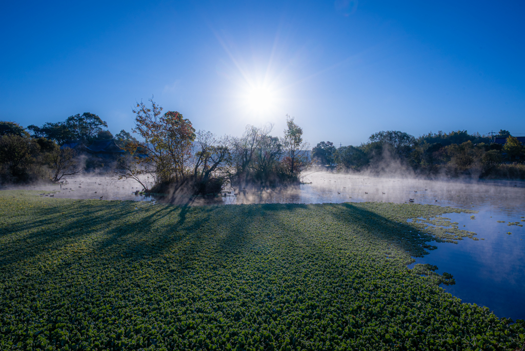 浮島を照らす朝日