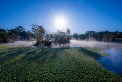 浮島を照らす朝日