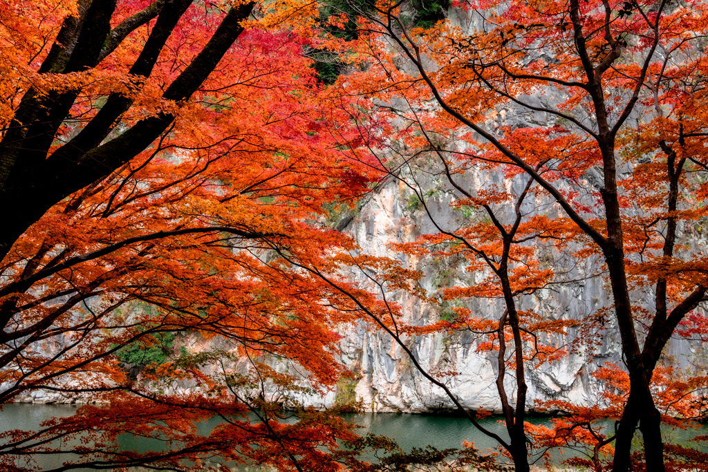 真紅に染まった渓谷