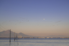 月と海を渡る鳥と雲仙