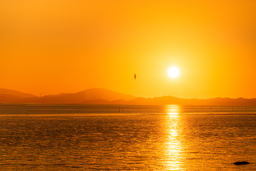 干潟に沈む夕日