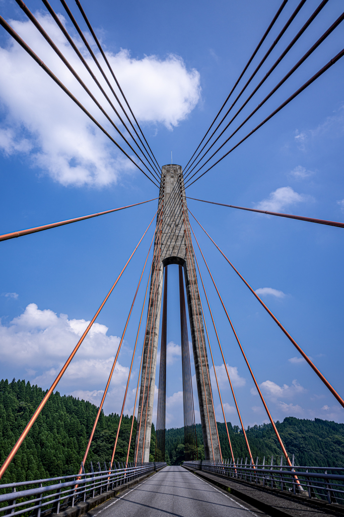 見上げる鮎の瀬大橋
