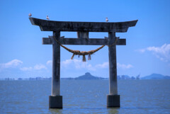 海の鳥居の鳥