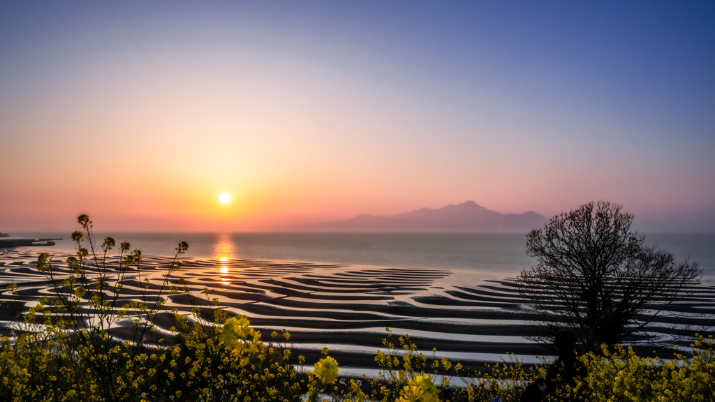 菜の花と夕日に染まる御輿来海岸