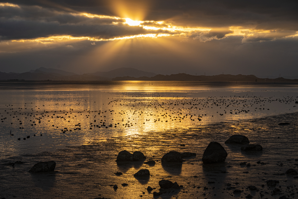 不知火海の夕暮れ
