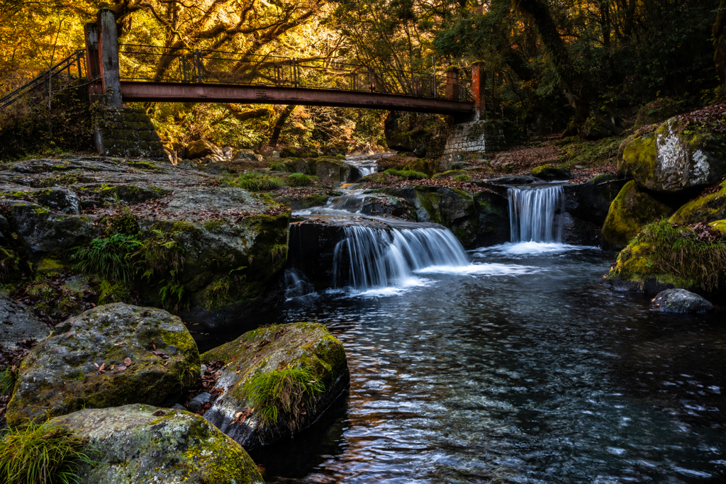 渓流とその奥の黄葉