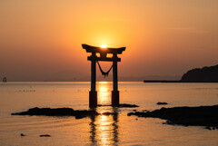 鳥居に沈む夕陽