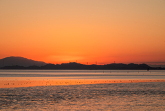 日没の海と夜を待つ水鳥たち