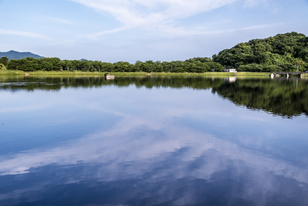 5月の池