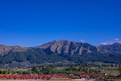 南阿蘇の秋を満喫する人々