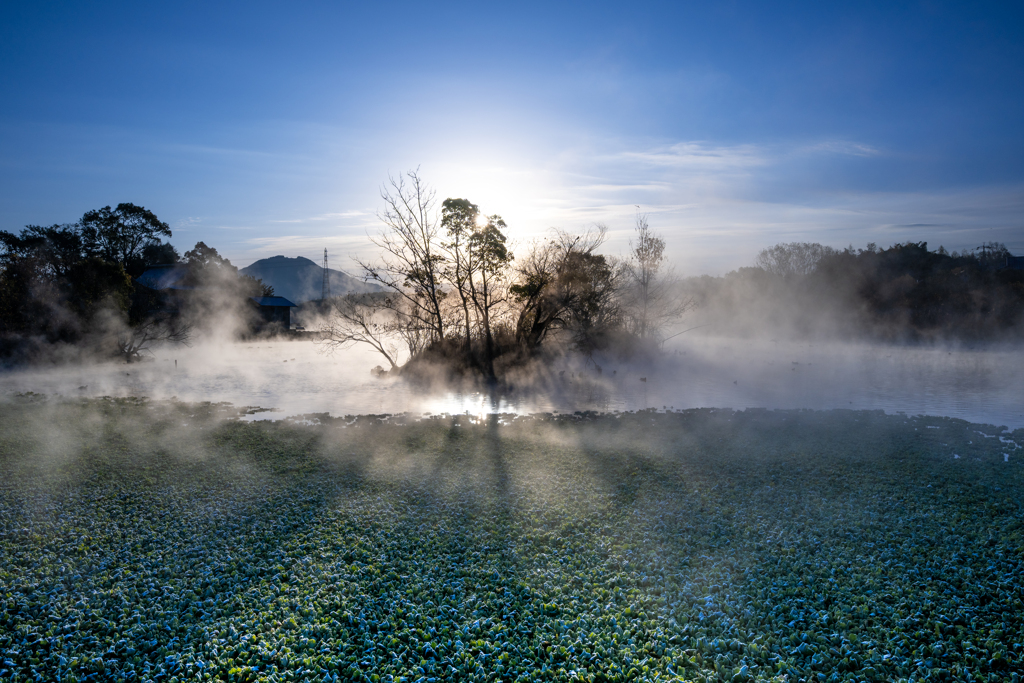 朝日射す浮島神社