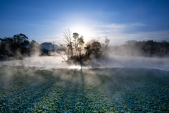 朝日射す浮島神社