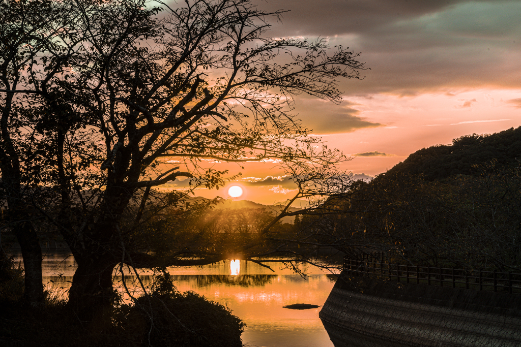 散歩道の夕暮れ
