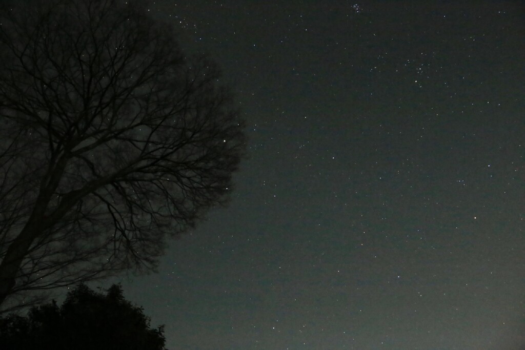 夜空を眺めて