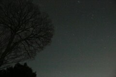 夜空を眺めて
