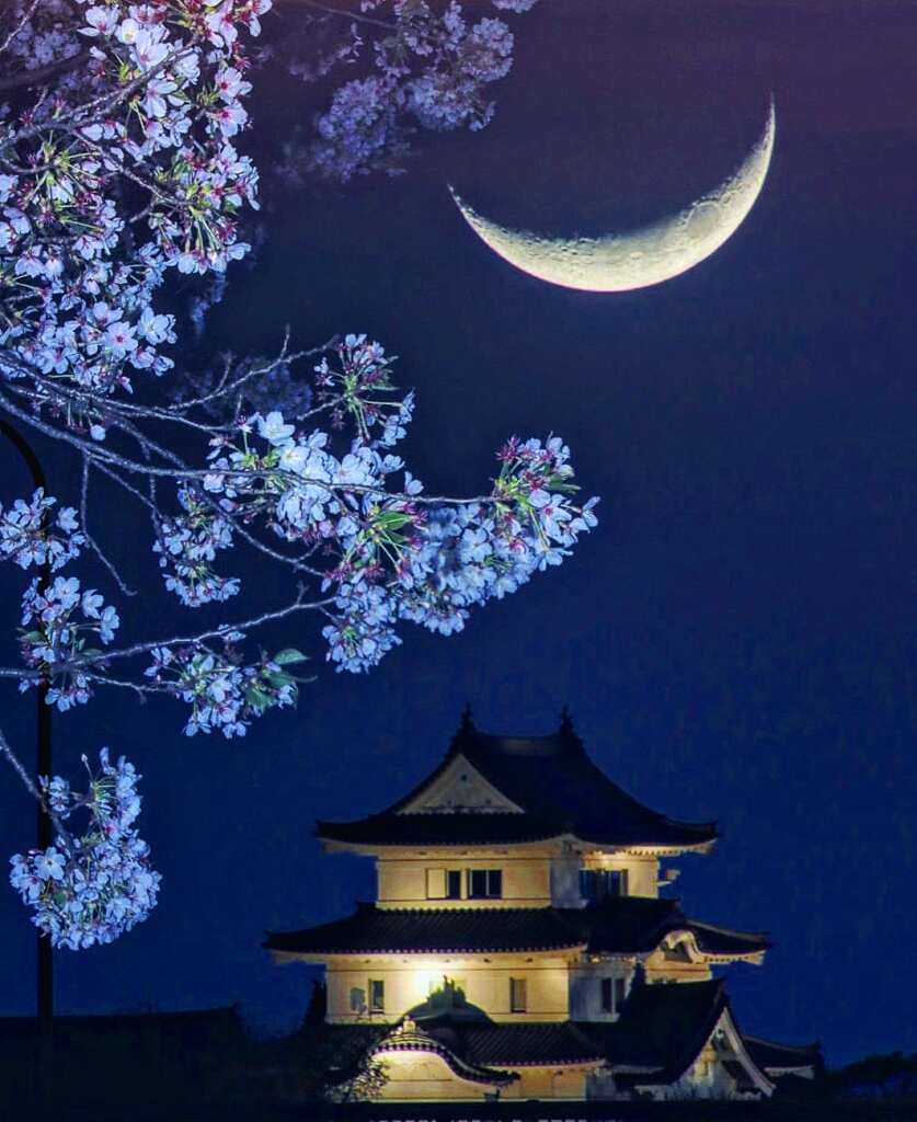 城と桜と月