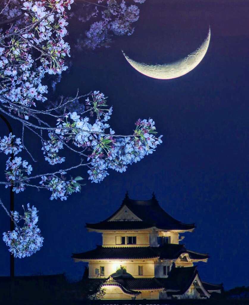 城と桜と月 by 高橋 （ID：12349858） - 写真共有サイト:PHOTOHITO
