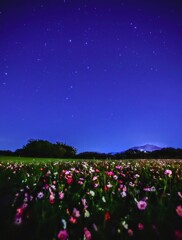 星空の下で