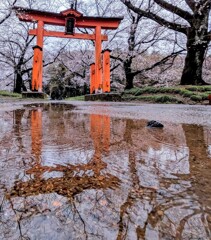 雨の日の参道