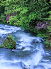 奥日光の旅②