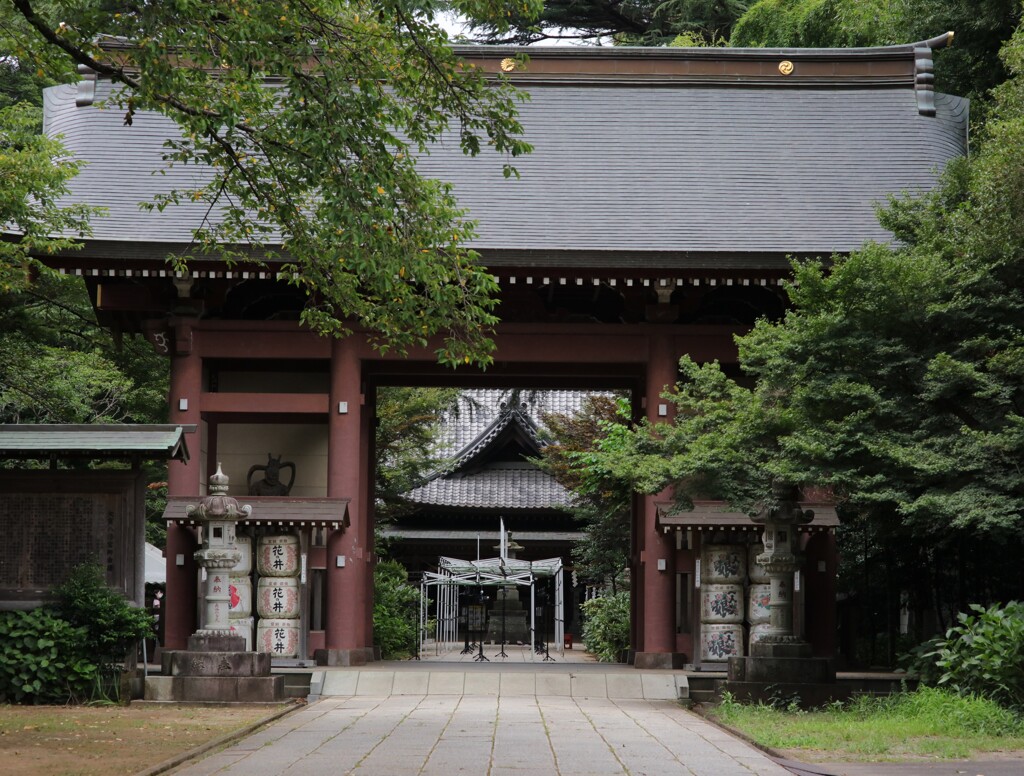 神社の木陰で