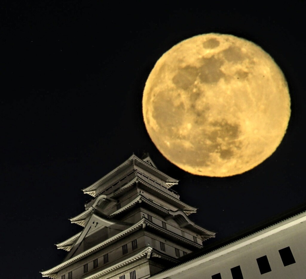 満月の城