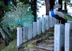 お出迎え