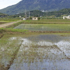 筑波山麓