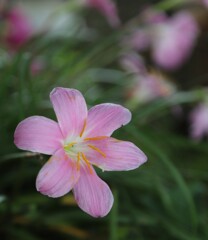 雨の日曜日