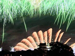 鮮やかに染まる城