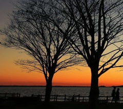 霞ヶ浦湖畔の夕景