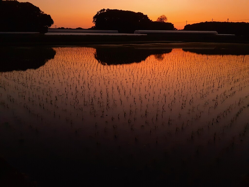 一段落