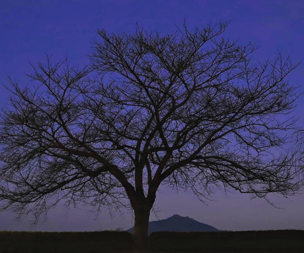 夕刻に筑波山