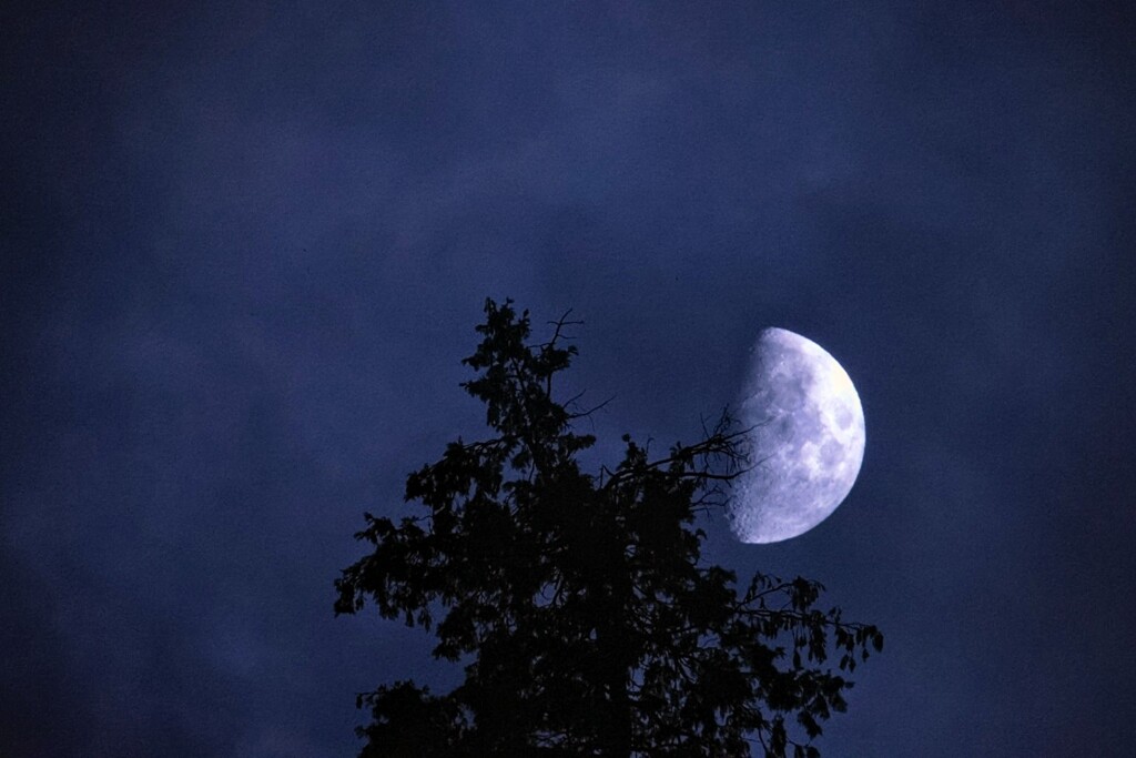 月夜