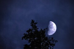 月夜