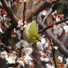 目端り