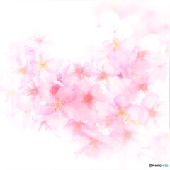 癒しの世界Ⅲ ～みなみの桜2023～