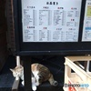 ネコ店長