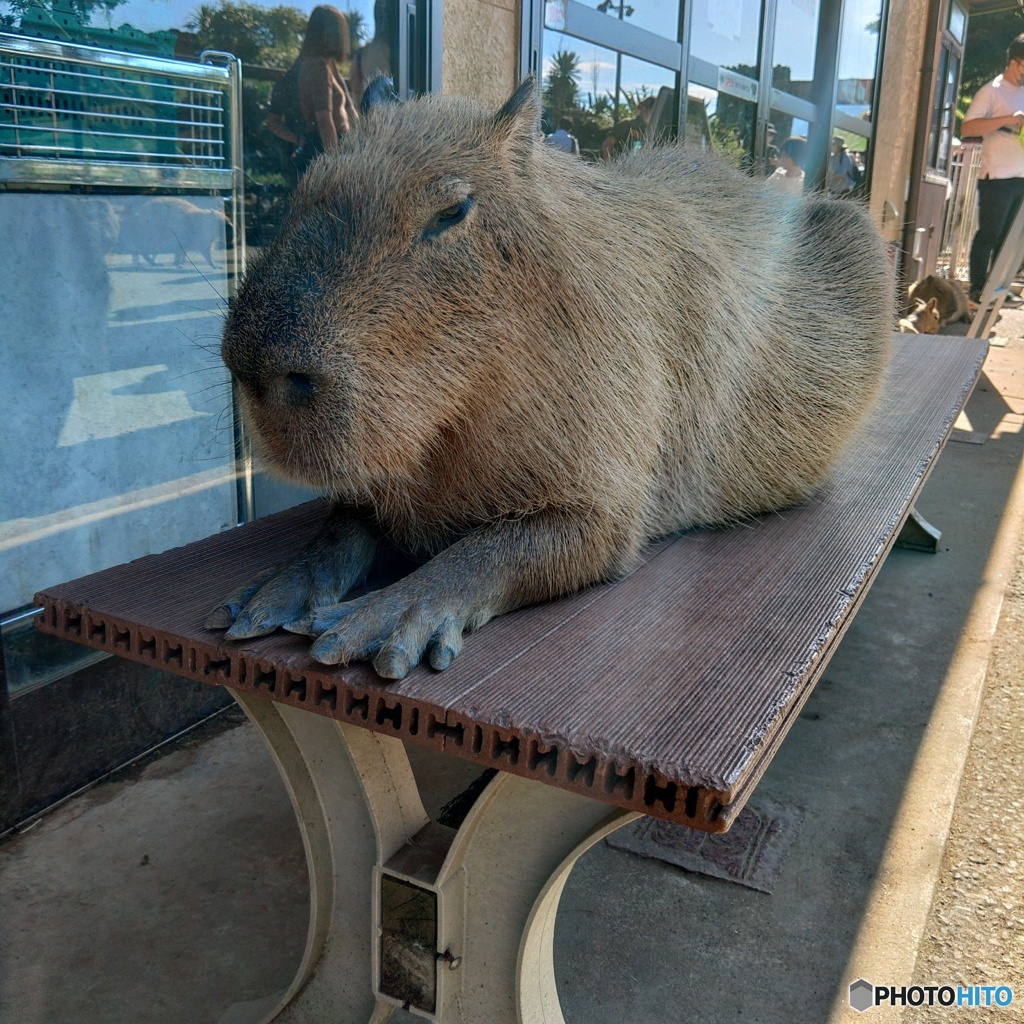 ひと休みひと休み