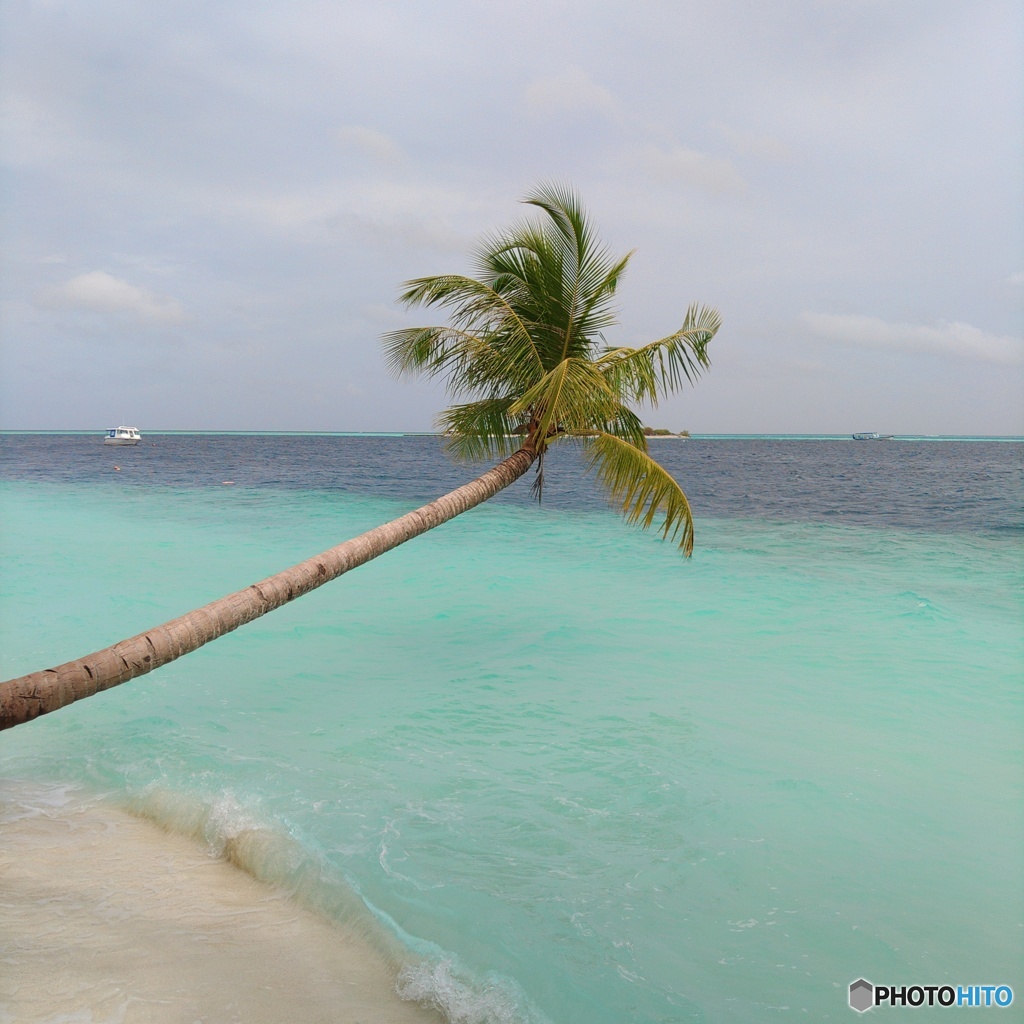 海に向かって