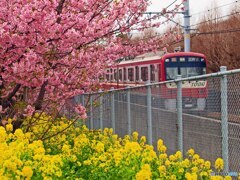 春電車