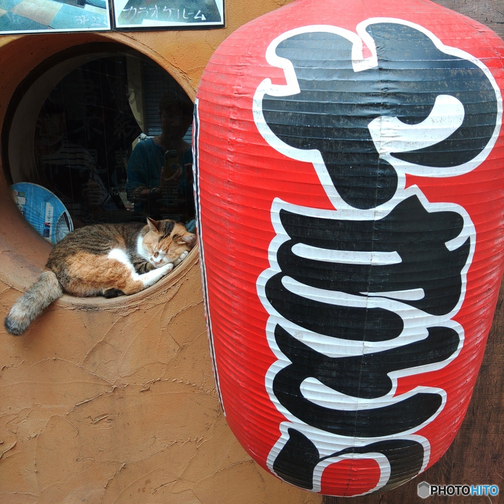 やきとり赤猫