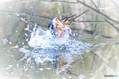 食後の運動