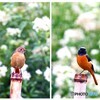 お帰り