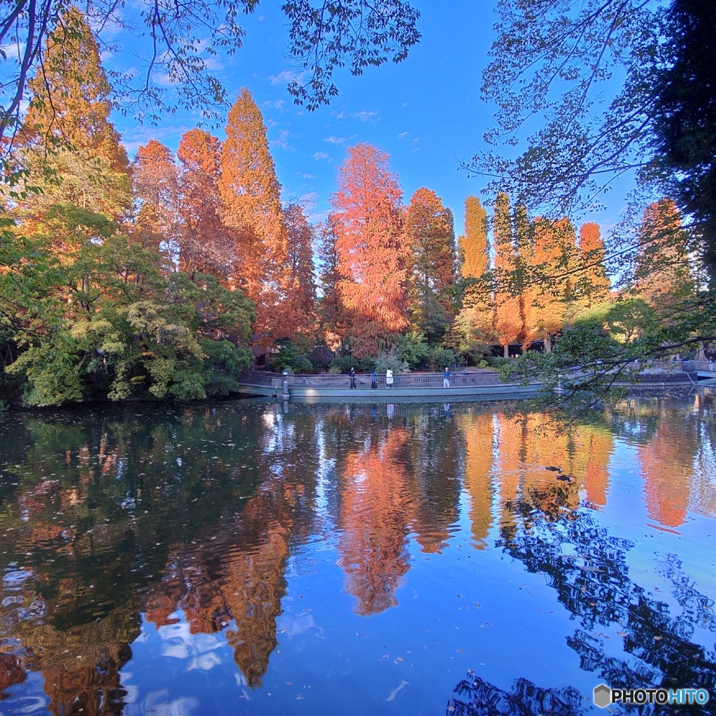 初紅葉